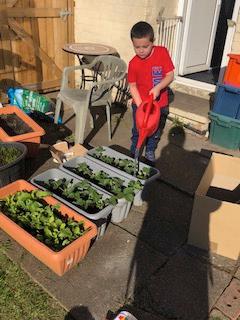 Home learning 1