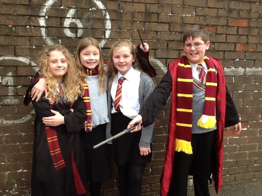 IMG 2142