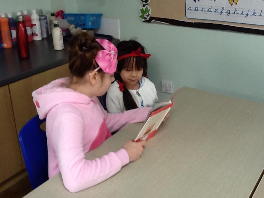 IMG 2471