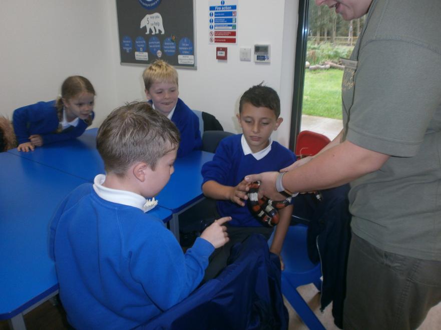 Adaptation Classroom Session