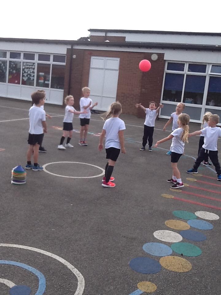 IMG 1351